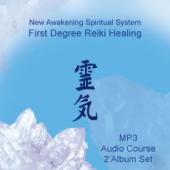 Reiki First Degree Healing by Robert Bourne 2 CD set