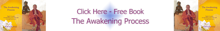Free book about the New Awakening Process